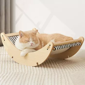 1b17357ee5213b1b9afb7516c4d204eb.jpeg-350x350.webp
