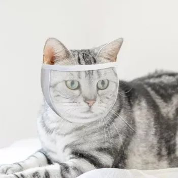 Transparent Cat Muzzle for Safer, Quick Grooming
