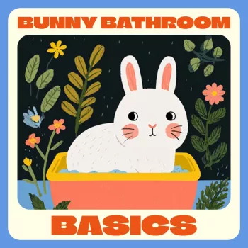 Litter Train Your Rabbit: Bunny Bathroom Basics